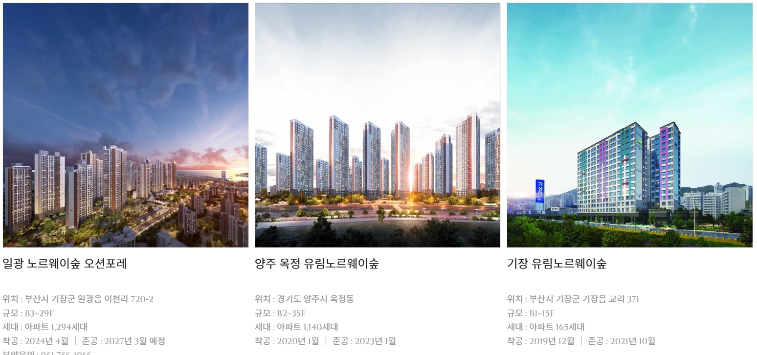 유림노르웨이숲 포트폴리오 1